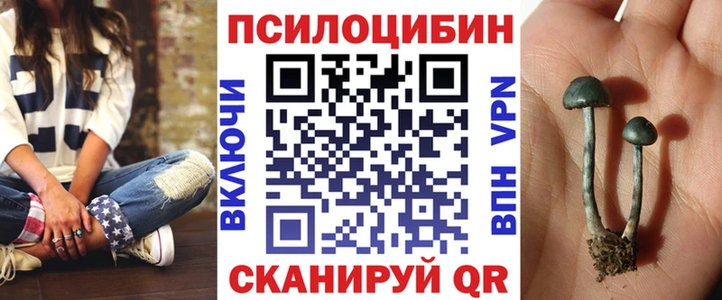 хочу наркоту  Каневская  мега ССЫЛКА  Галлюциногенные грибы Psilocybine cubensis 